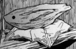'A _bird_!?'  Yeah, I know.